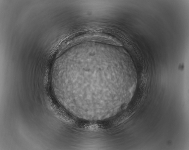 X0000115610600200912011553