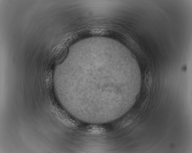 X0000115610601200912011553