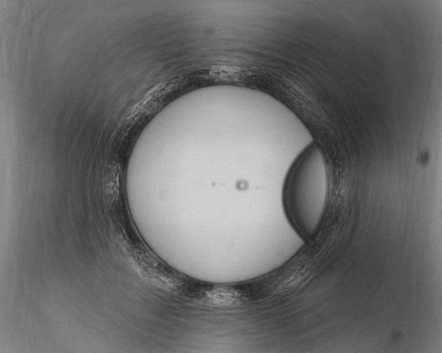X0000115610603200912011552
