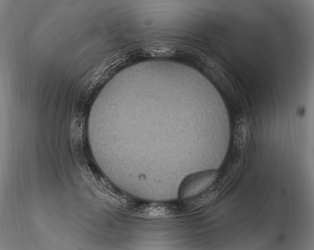 X0000115610604200912011552