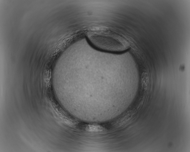 X0000115610605200912011552