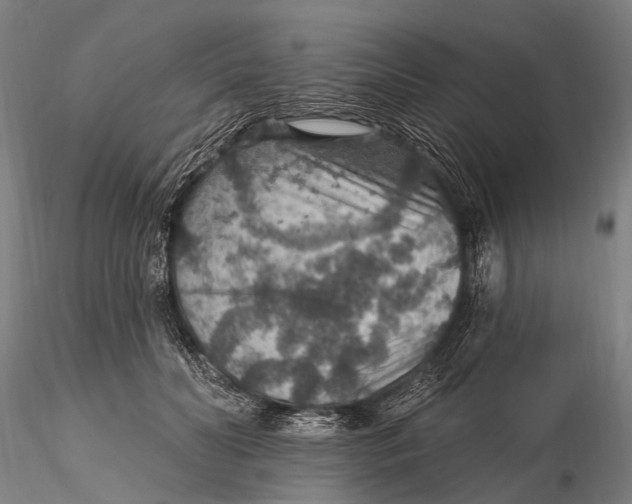 X0000115610606200912011552