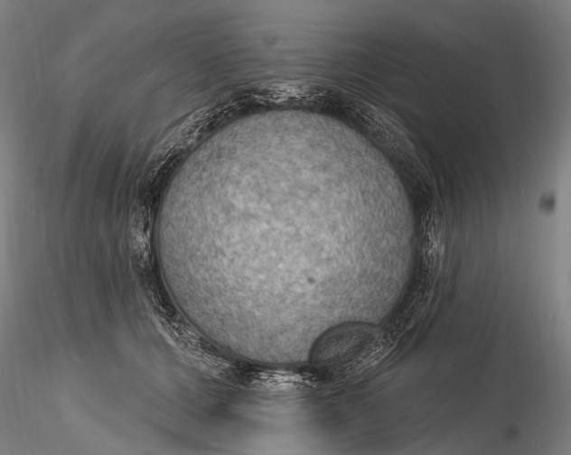 X0000115610607200912011552