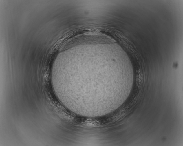 X0000115610608200912011552