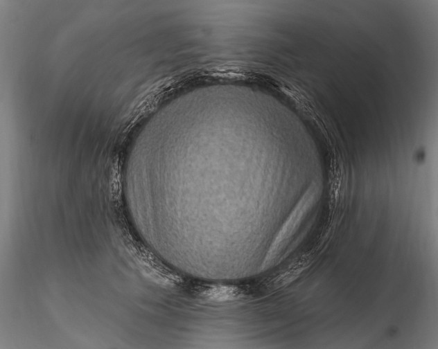 X0000115610609200912011552
