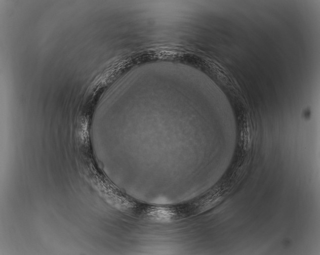 X0000115610610200912011552