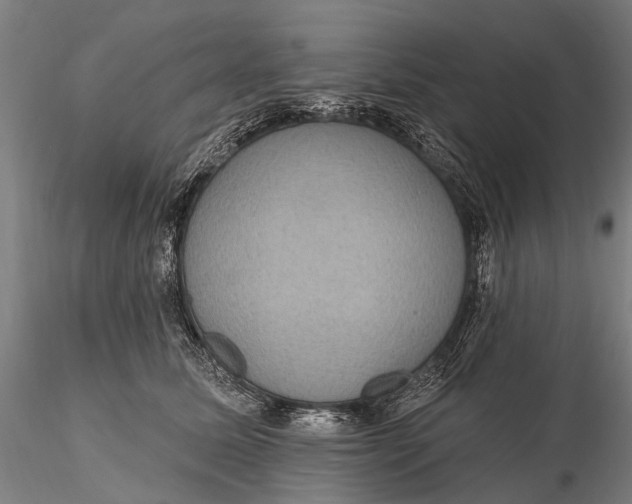 X0000115610611200912011552
