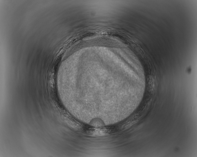 X0000115610612200912011552