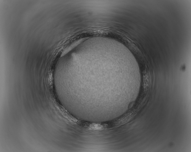 X0000115610613200912011552