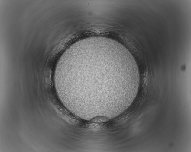 X0000115610615200912011552