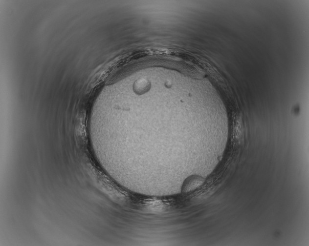 X0000115610616200912011552