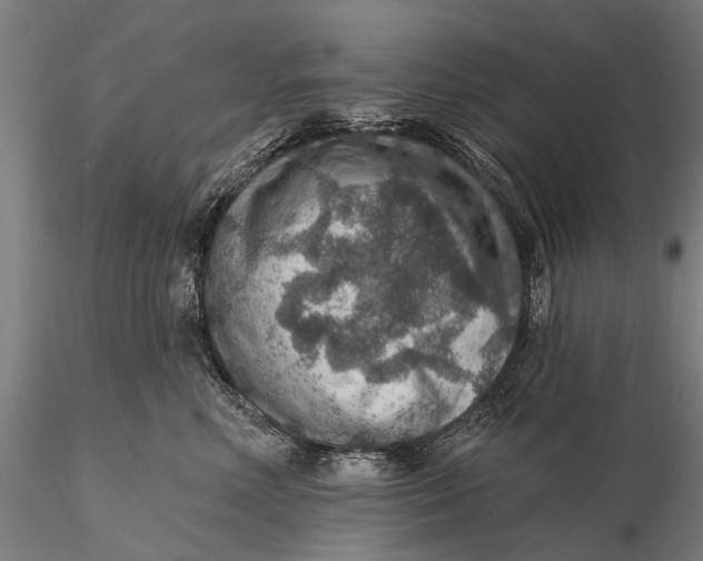 X0000115610618200912011552