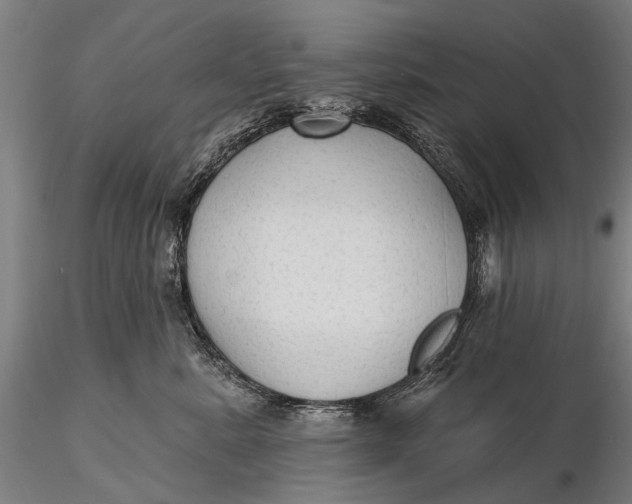 X0000115610619200912011552