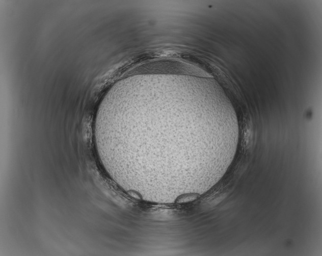 X0000115610620200912011552