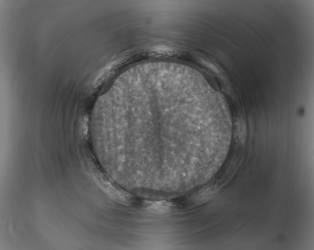 X0000115610621200912011552