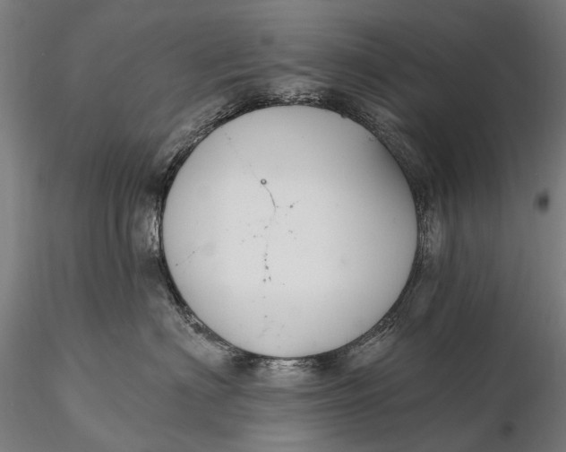 X0000115610622200912011552
