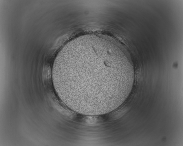 X0000115610623200912011552