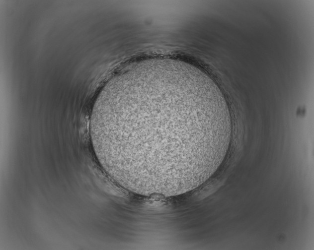 X0000115610624200912011552
