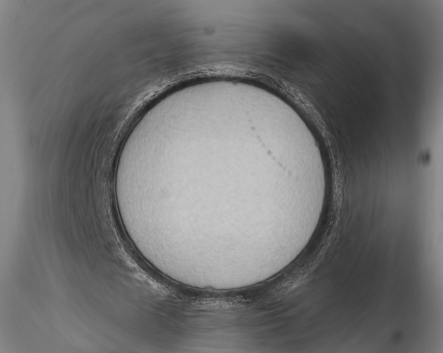 X0000115610625200912011552