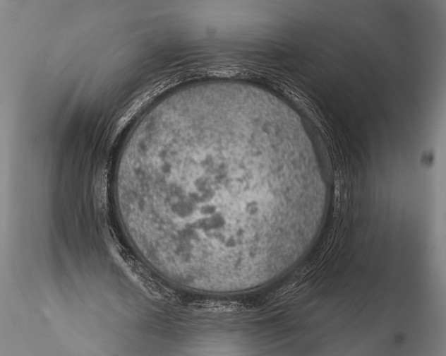 X0000115610626200912011552