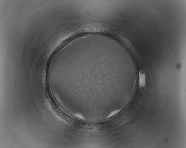 X0000115610627200912011552