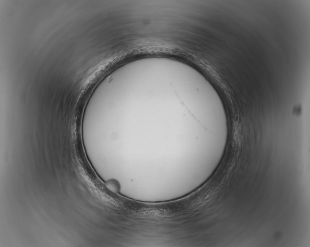 X0000115610629200912011552