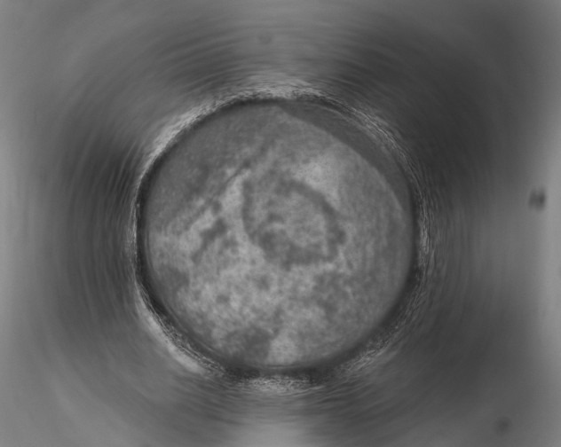 X0000115610630200912011552