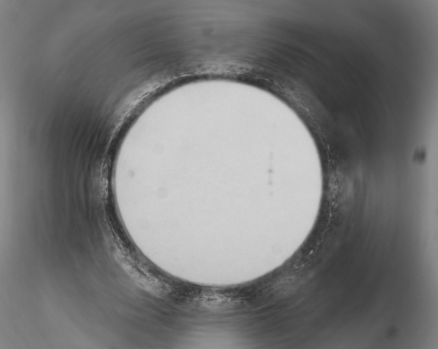 X0000115610632200912011552