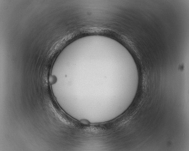 X0000115610633200912011552