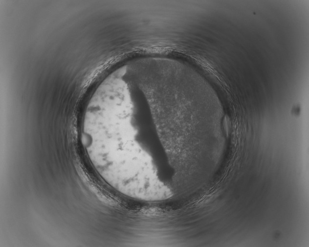 X0000115610634200912011552