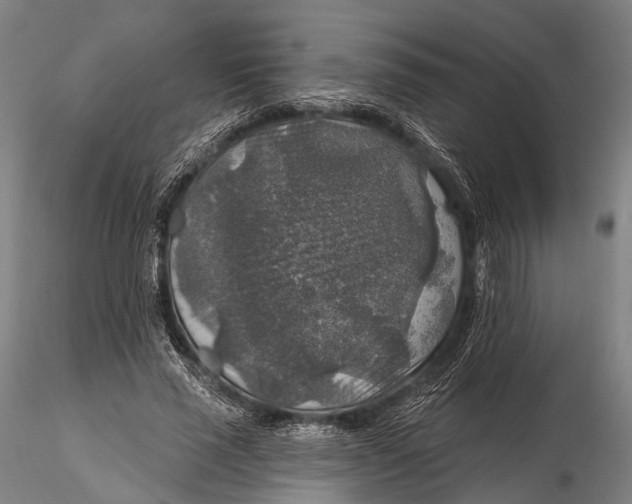 X0000115610637200912011552