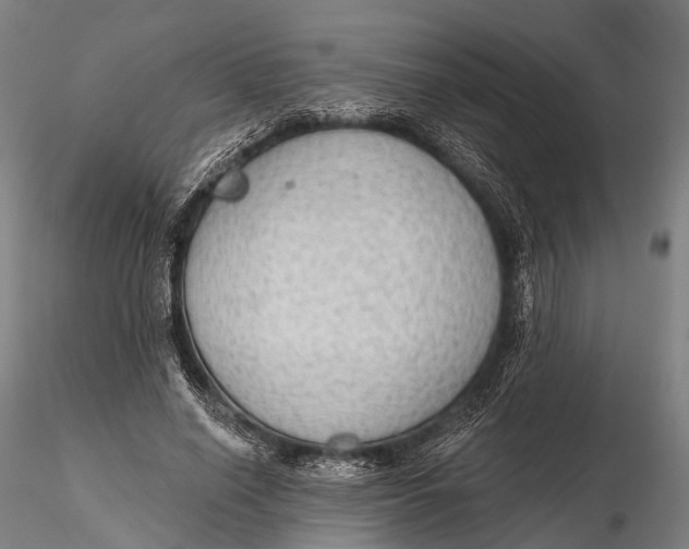 X0000115610638200912011552
