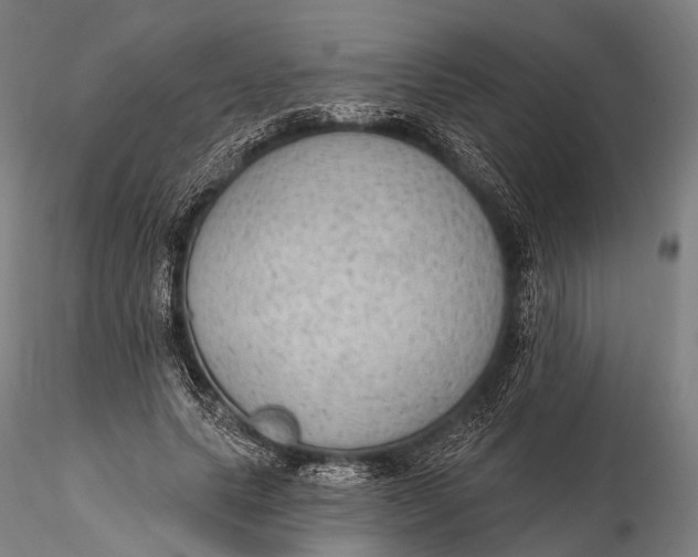 X0000115610639200912011552