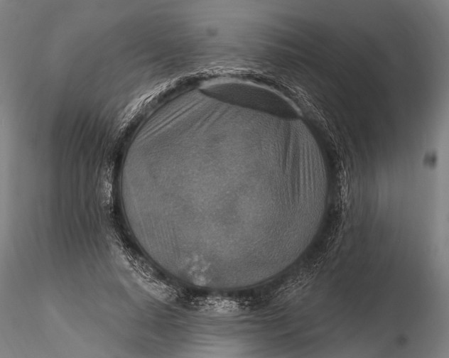 X0000115610640200912011552