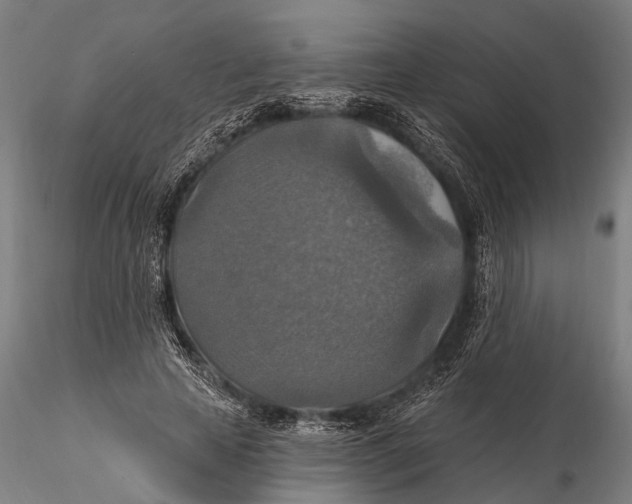 X0000115610641200912011552