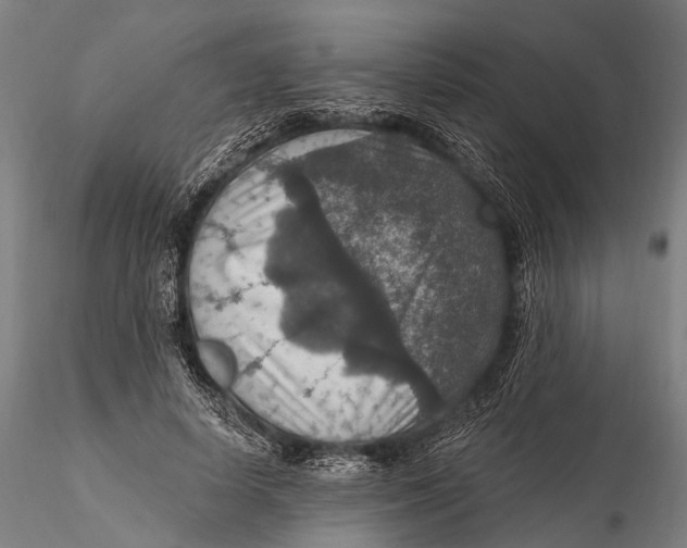 X0000115610642200912011552