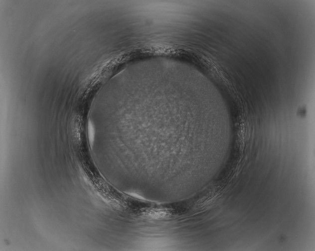 X0000115610643200912011552