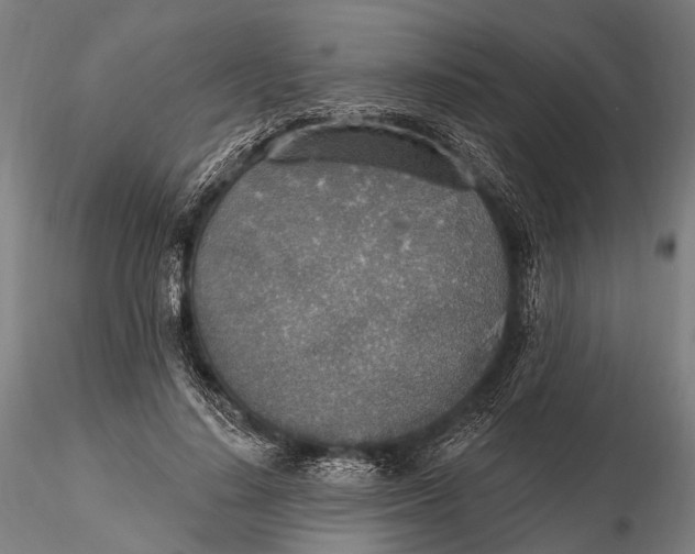 X0000115610644200912011552