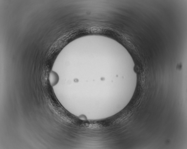 X0000115610645200912011552