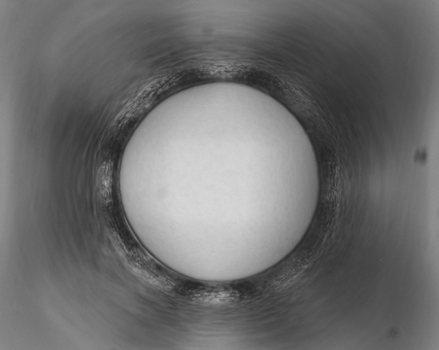X0000115610646200912011552