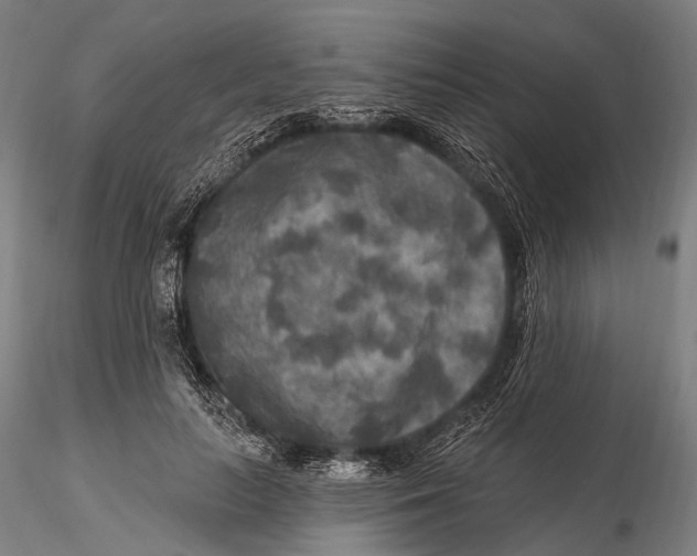 X0000115610647200912011552