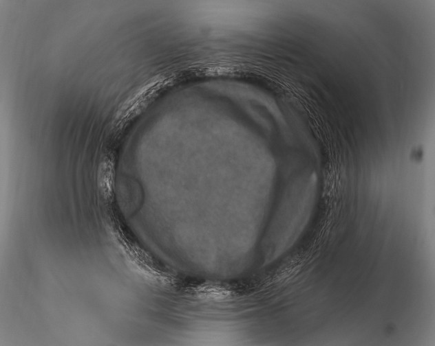 X0000115610648200912011552