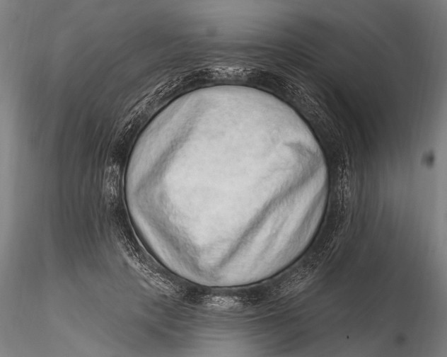 X0000115610649200912011552