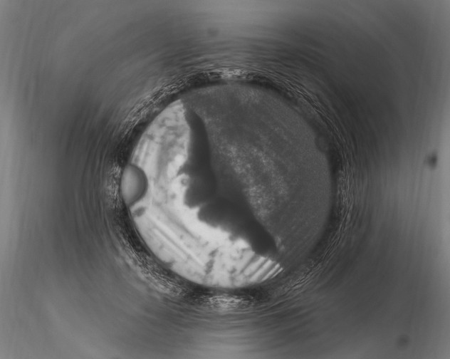X0000115610650200912011552