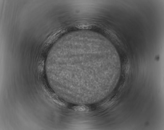 X0000115610652200912011552