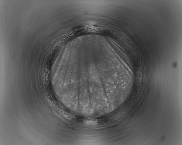 X0000115610653200912011552