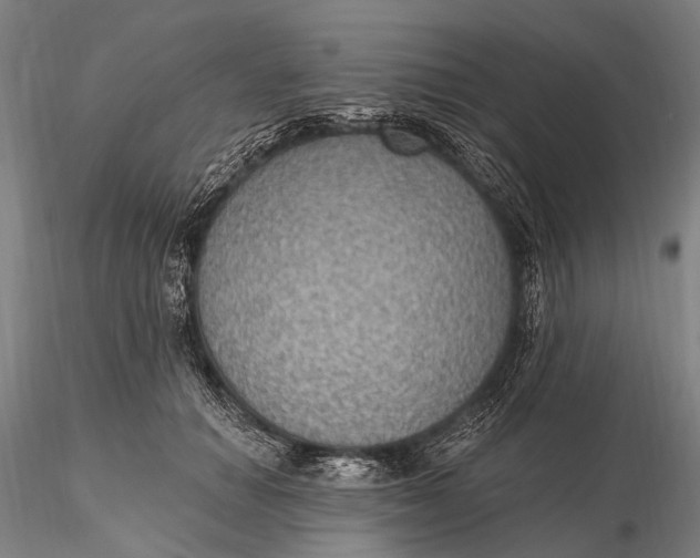 X0000115610654200912011552