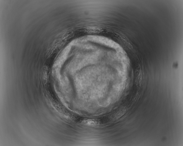 X0000115610655200912011552