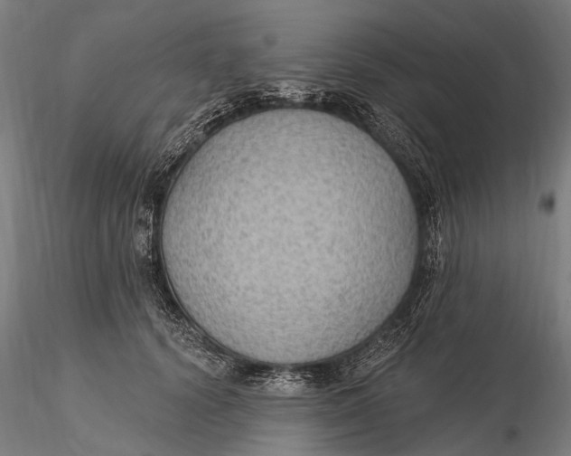 X0000115610656200912011552