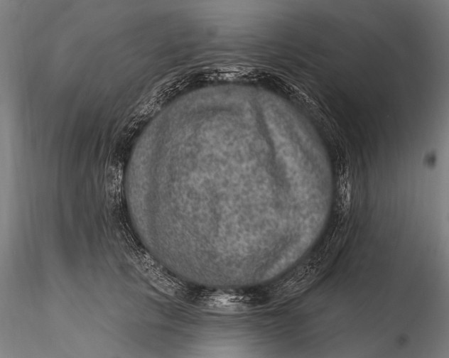 X0000115610657200912011552